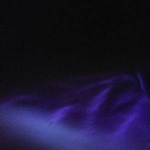 Meet your Posher, Janie